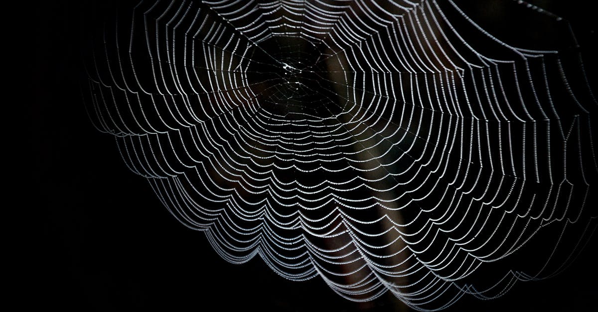 découvrez les enjeux et les méthodes de la surveillance du dark web. protégez vos informations et comprenez les activités cachées en ligne grâce à notre guide complet sur la sécurité et la prévention des menaces.