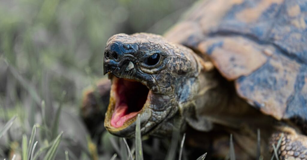 Comprendre le concept de défense en profondeur découvrez le concept de la défense en profondeur : une stratégie de cybersécurité qui combine plusieurs couches de protection pour sécuriser efficacement vos systèmes informatiques contre les menaces et les attaques.