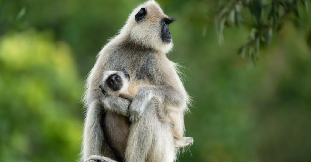 protégez efficacement vos données contre les ransomwares grâce à des solutions de sécurité avancées. découvrez nos conseils et outils pour éviter les attaques et sécuriser votre entreprise.