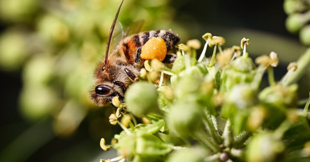 Comprendre ce qu’est un jeton de miel et son importance découvrez ce qu'est un honey token, une technique de cybersécurité utilisée pour identifier et piéger les cybercriminels en détectant les accès non autorisés aux données sensibles.
