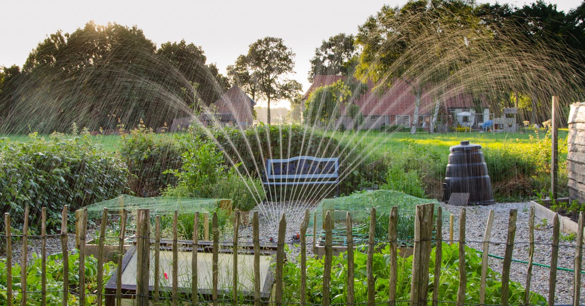 découvrez les différentes techniques d'irrigation, leurs avantages, les équipements utilisés et des conseils pratiques pour optimiser l'arrosage de vos cultures ou de votre jardin.