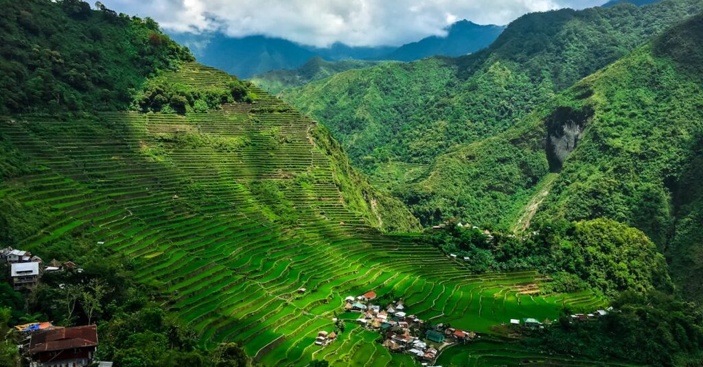 l’intrusion insidieuse par les systèmes d’arrosage découvrez tout sur l'irrigation : techniques, avantages, conseils et solutions pour optimiser l'arrosage de vos cultures, jardins ou espaces verts et améliorer vos rendements agricoles.